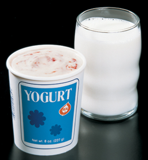 b19_yogurt.jpg